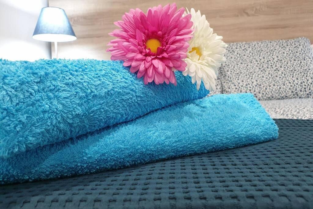 Apartamento Eucalipto Mozaga Esterno foto